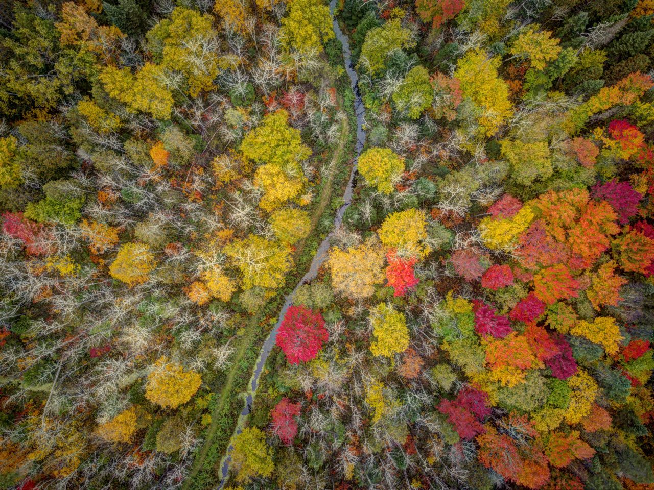 Wakefield site d'Eco-Odyssée automne
