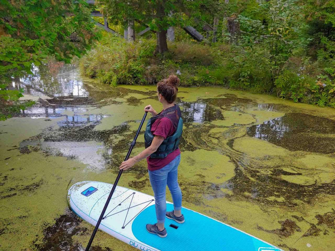 SUP in a marsh labyrinth