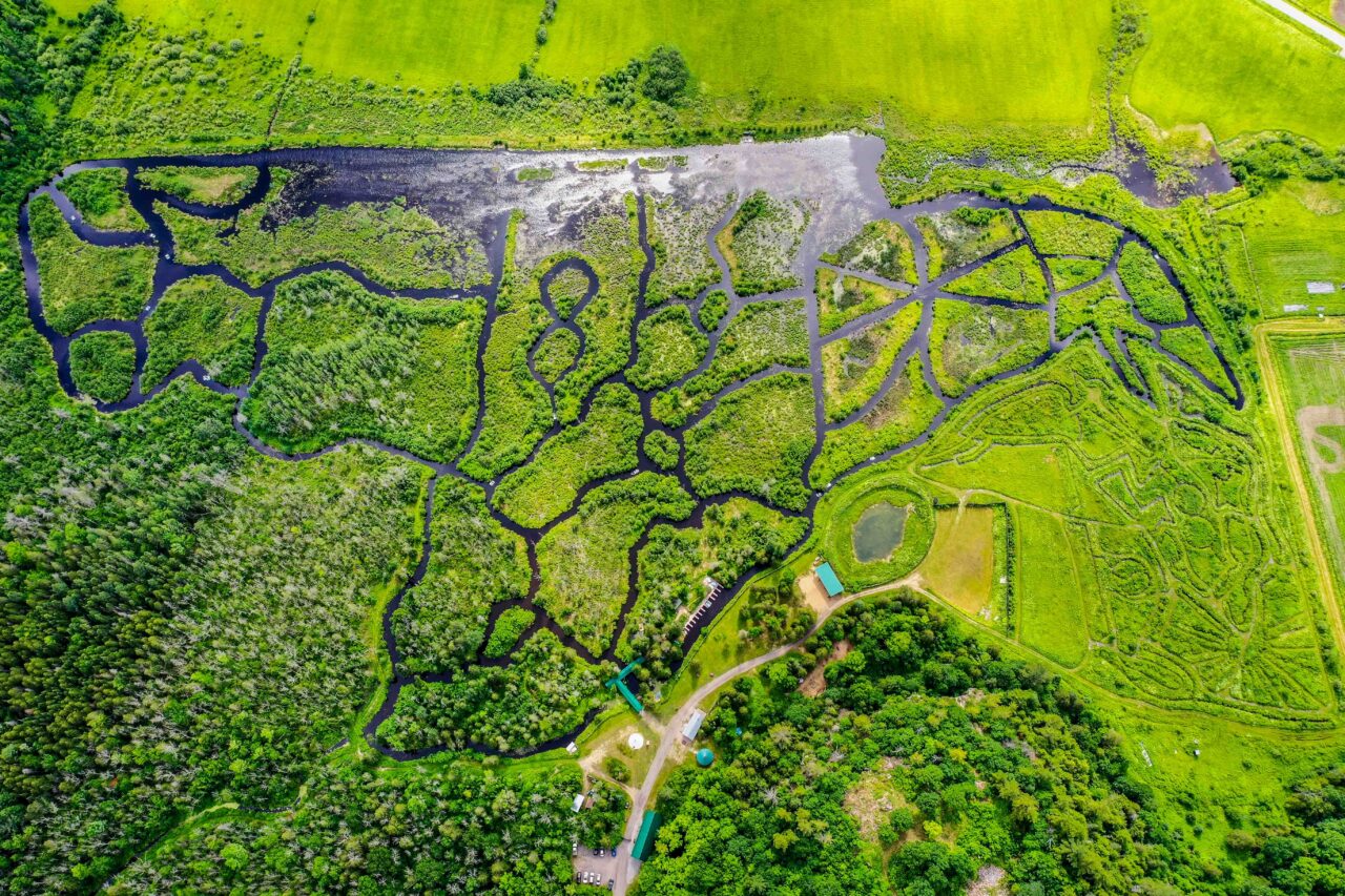 Éco-Odyssée labyrinthe d'eau